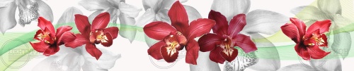 Фото. Кухонный фартук Красные орхидеи. Строй-Отделка